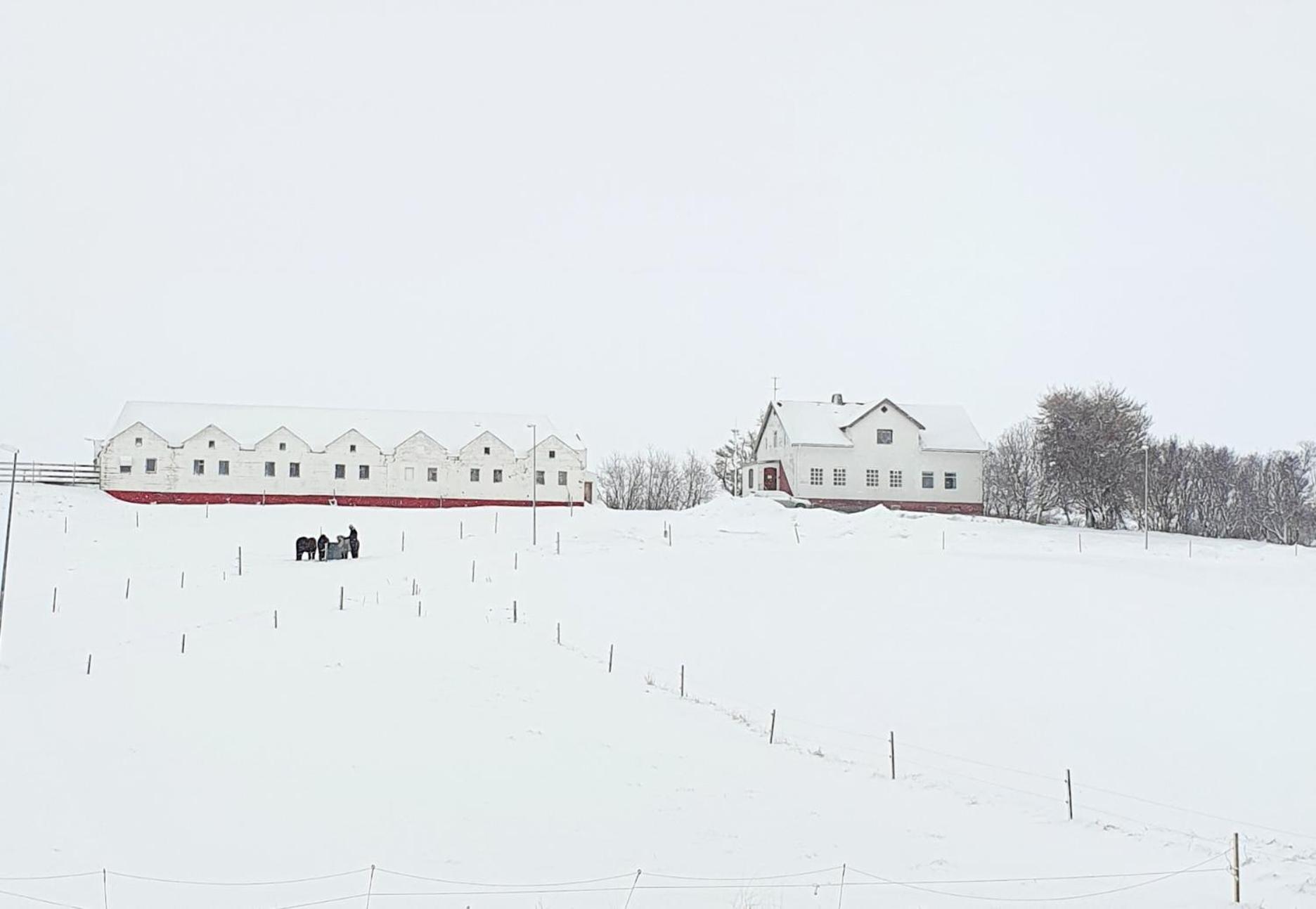 Helluland Guesthouse Saudarkrokur Exteriér fotografie